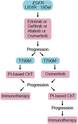 Understanding Lineage Plasticity as a Path to Targeted Therapy Failure in EGFR-Mutant Non-small Cell Lung Cancer